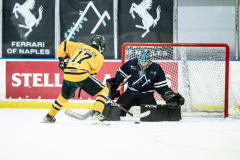 Bulldogs-VS-Bobcats_16