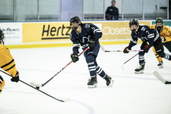 Bulldogs-VS-Bobcats_24