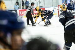 Bulldogs-VS-Bobcats_28