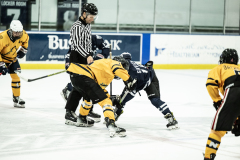 Bulldogs-VS-Bobcats_38