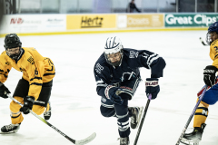Bulldogs-VS-Bobcats_58