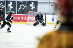 Bulldogs-VS-Bobcats_62