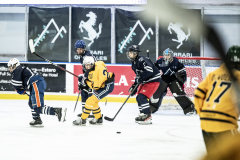 Bulldogs-VS-Bobcats_63