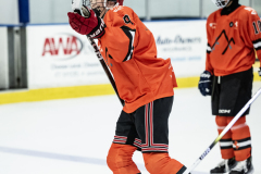 Mon - 11 Tigers vs. 11 Bears