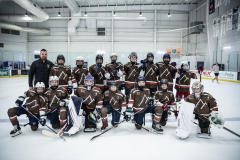 Tigers-VS-Bears_01