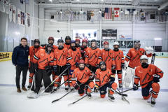 Tigers-VS-Bears_02