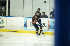 Tigers-VS-Bears_100