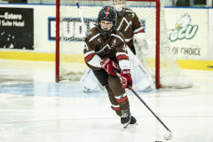 Tigers-VS-Bears_102