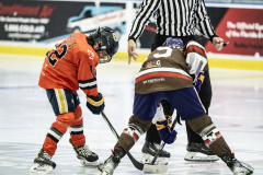 Tigers-VS-Bears_107