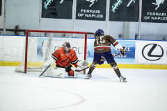 Tigers-VS-Bears_14