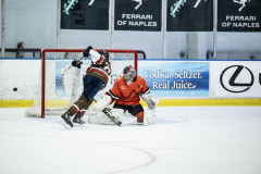 Tigers-VS-Bears_16