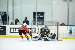 Tigers-VS-Bears_17