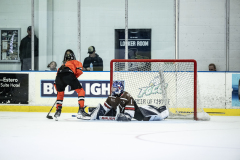 Tigers-VS-Bears_20