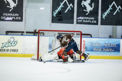 Tigers-VS-Bears_21