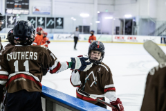 Tigers-VS-Bears_23