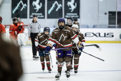 Tigers-VS-Bears_27