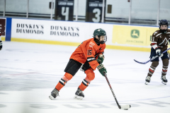 Tigers-VS-Bears_29