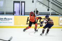 Tigers-VS-Bears_31