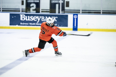 Tigers-VS-Bears_32
