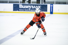 Tigers-VS-Bears_33