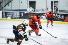 Tigers-VS-Bears_34