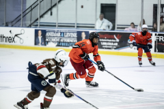 Tigers-VS-Bears_35
