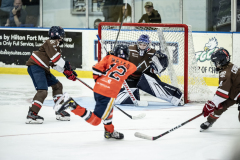 Tigers-VS-Bears_36