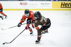 Tigers-VS-Bears_39