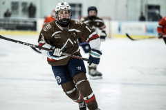 Tigers-VS-Bears_47
