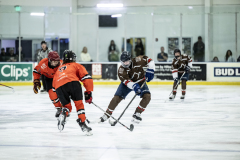Tigers-VS-Bears_48