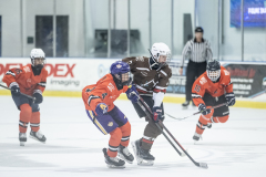 Tigers-VS-Bears_53