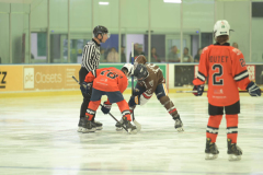 Tigers-VS-Bears_54