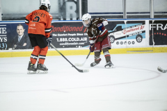 Tigers-VS-Bears_55