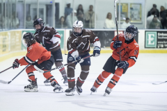 Tigers-VS-Bears_56