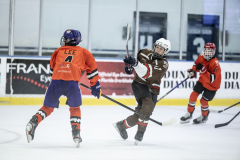 Tigers-VS-Bears_61