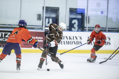 Tigers-VS-Bears_62