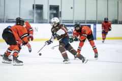 Tigers-VS-Bears_63