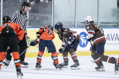 Tigers-VS-Bears_65