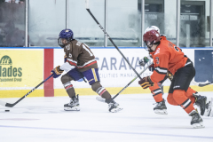 Tigers-VS-Bears_66