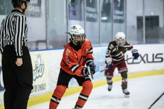 Tigers-VS-Bears_67