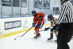 Tigers-VS-Bears_71