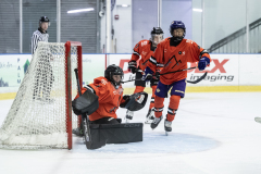 Tigers-VS-Bears_72