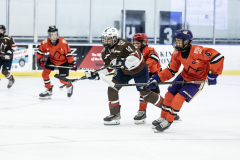 Tigers-VS-Bears_74