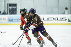 Tigers-VS-Bears_75