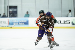 Tigers-VS-Bears_76