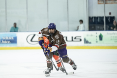 Tigers-VS-Bears_78