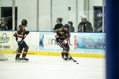 Tigers-VS-Bears_79