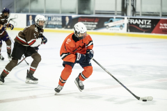 Tigers-VS-Bears_80