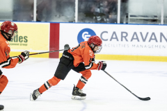 Tigers-VS-Bears_81