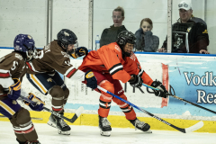 Tigers-VS-Bears_82